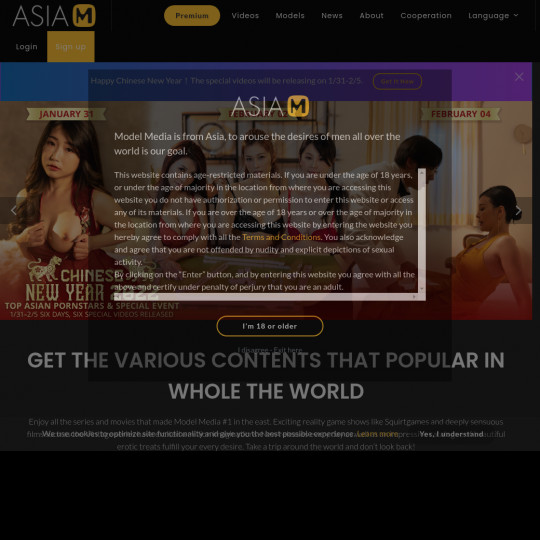 model media asia