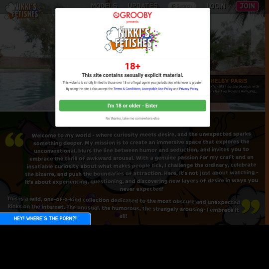 nikkis fetishes